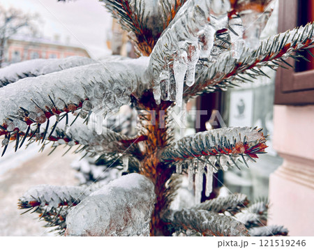 Frozen branches covered with snow and icicles of a Christmas tree on a background of the city. Winter background.  121519246