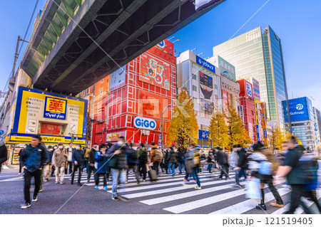 日本の東京都市景観 希望の時代へ…外国人観光客らで賑わう秋葉原＝26日 121519405