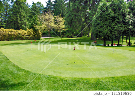 Overview of a golf field with red flags on green lawn Overview of a golf field with red flags on green lawn 121519650