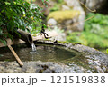 日本庭園の風景 121519838