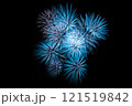 幻想的な花火 121519842