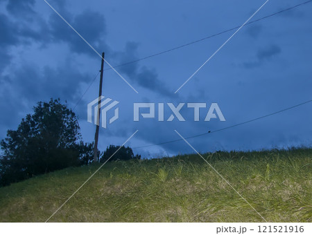 Electric pole with falcon posing 121521916