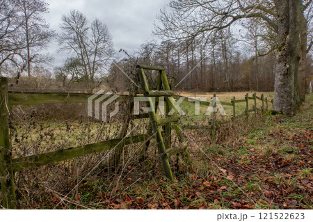 An old wooden fence, weathered and covered in moss, with autumn leaves scattered on the ground An old wooden fence, weathered and covered in moss, with autumn leaves scattered on the ground 121522623