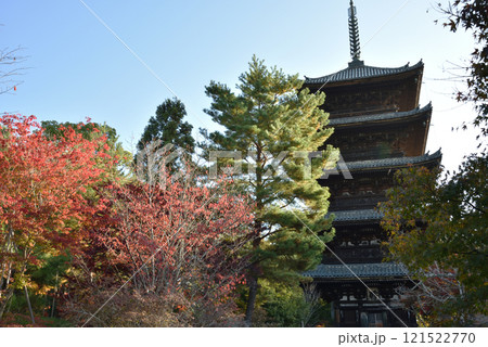 世界遺産 仁和寺 秋色に染まる五重塔【重文】 世界遺産 仁和寺 秋色に染まる五重塔【重文】 121522770