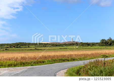 Country road in the middle of a field. Rural landscape. Country road in the middle of a field. Rural landscape. 121523005