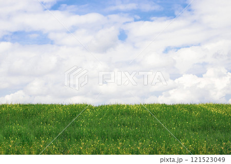 Natural background green field with flowers and blue sky with clouds. 121523049