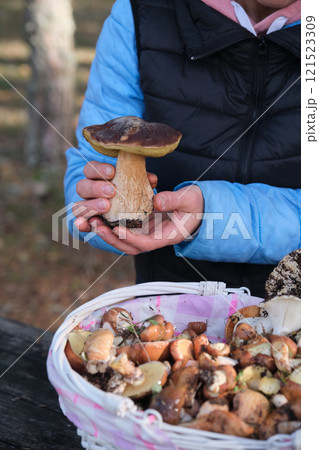 a girl with a basket of mushrooms 121523309