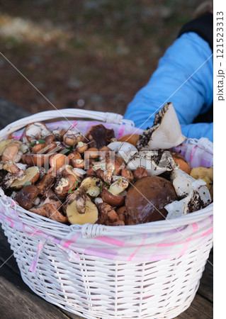 a girl with a basket of mushrooms 121523313