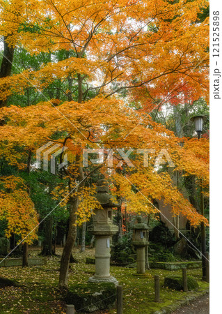 紅葉最盛期の成田山新勝寺 紅葉最盛期の成田山新勝寺 121525898