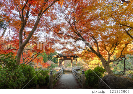 紅葉最盛期の成田山新勝寺 紅葉最盛期の成田山新勝寺 121525905