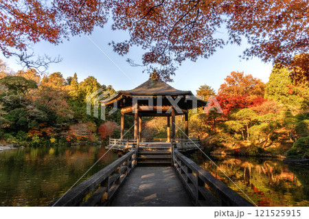 紅葉最盛期の成田山新勝寺 121525915