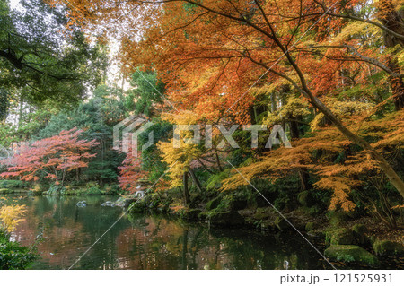 紅葉最盛期の成田山新勝寺 紅葉最盛期の成田山新勝寺 121525931