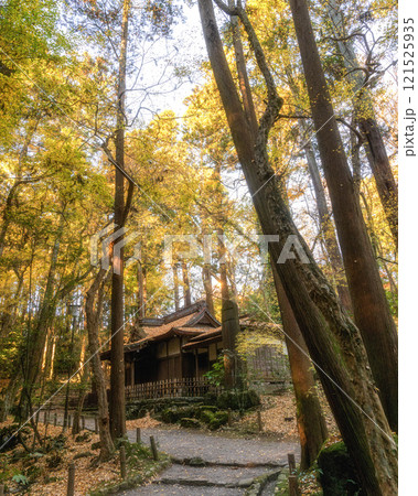 紅葉最盛期の成田山新勝寺 紅葉最盛期の成田山新勝寺 121525935