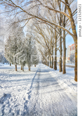 Picturesque landscape with snow-covered trees in the city park. Picturesque landscape with snow-covered trees in the city park. 121526021