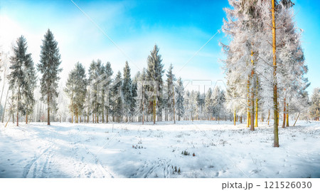 Majestic landscape with snow-covered trees in the city park. 121526030