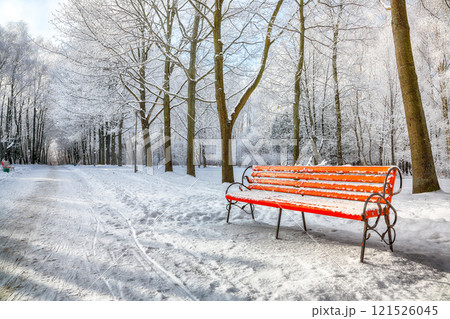Incredible view of park bench and trees covered by heavy snow. Incredible view of park bench and trees covered by heavy snow. 121526045
