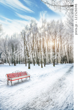 Incredible view of park bench and trees covered by heavy snow. Incredible view of park bench and trees covered by heavy snow. 121526046