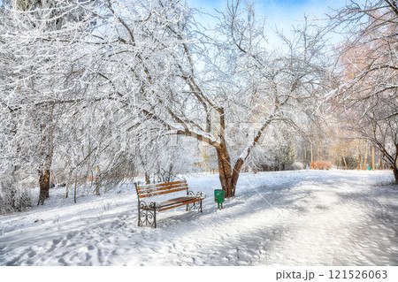 Incredible view of park bench and trees covered by heavy snow. 121526063