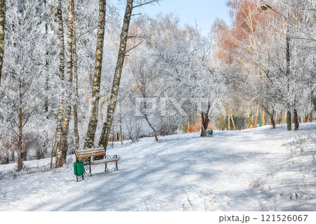 Incredible view of park bench and trees covered by heavy snow. 121526067
