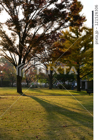 朝の白川公園 121526306