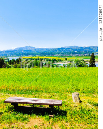 飯山市・菜の花公園（春） 121526974