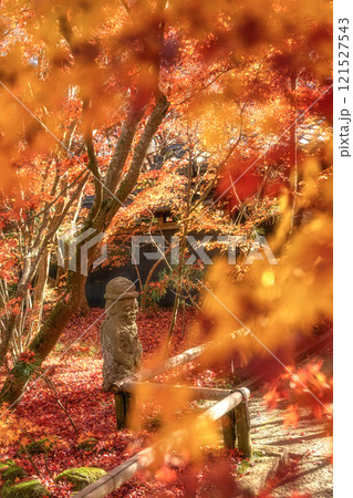 千葉県　松山庭園美術館の紅葉 121527543