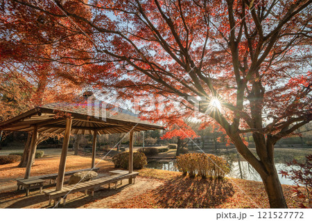 茨城県水戸市　茨城県立歴史館の紅葉とサギ 121527772