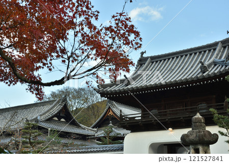 秋の興聖寺 山門付近(京都府宇治市) 秋の興聖寺 山門付近(京都府宇治市) 121527841