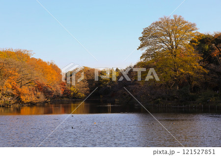 Dec 4 2024 Landscape With Vibrant Trees Reflecting in a Tranquil Lake 121527851