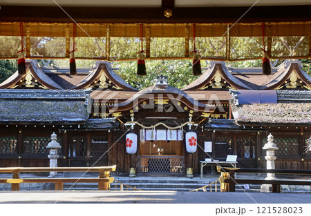 平野神社(京都・北区) 平野神社(京都・北区) 121528023