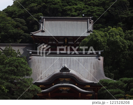 鶴岡八幡宮の風景 121528208