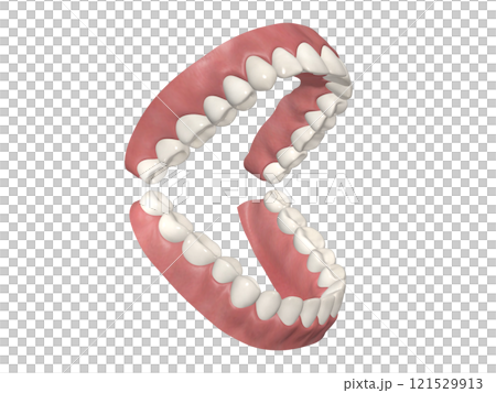 牙齒牙齒結構人體插圖真 CG 對角線 45 牙齒牙齒結構人體插圖真 CG 對角線 45 121529913