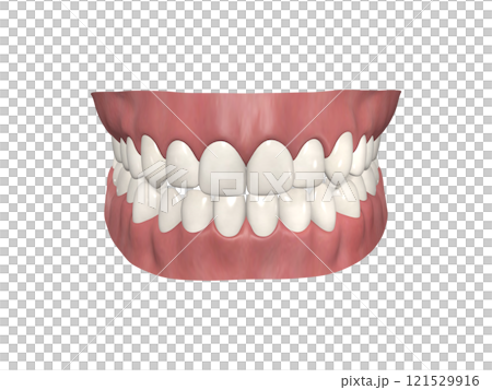 牙齒的牙齒結構人體插圖逼真的 CG 牙齒的牙齒結構人體插圖逼真的 CG 121529916