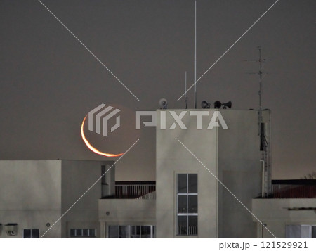 冬の夜明けに上る月 121529921