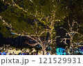 福岡クリスマスマーケットの華やかな雰囲気！冬の光と美味しいグルメ 121529931
