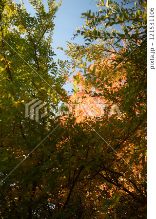 兵庫県・紅葉風景小野市紅山アルプス 121531106