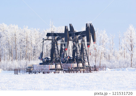 Black pumpjacks are in the snowy winter field and the forest in hoarfrost in the background. 121531720