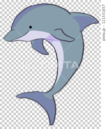 Dolphin illustration cutout Dolphin illustration cutout 121531857