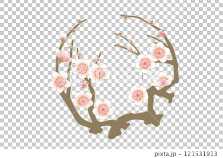 梅のイラスト 花丸 白梅 梅のイラスト 花丸 白梅 121531913