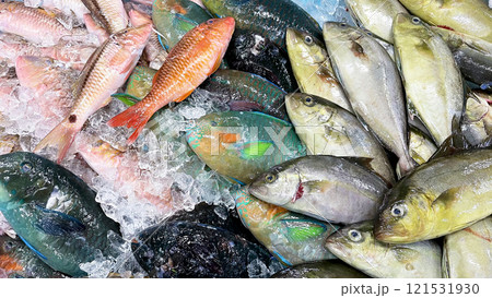 沖縄の市場に並んだ新鮮なカラフルな魚 121531930