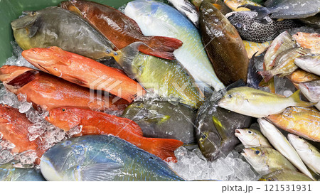 沖縄の市場に並んだ新鮮でカラフルな魚 沖縄の市場に並んだ新鮮でカラフルな魚 121531931