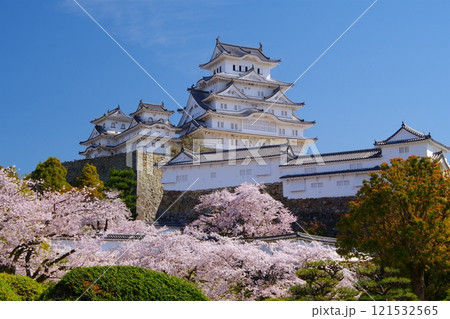 姫路城榎下門跡付近から望む青空を背景にした姫路城天守閣と桜の風景 Ver4 姫路城榎下門跡付近から望む青空を背景にした姫路城天守閣と桜の風景 Ver4 121532565