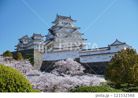 姫路城榎下門跡付近から望む青空を背景にした姫路城天守閣と桜の風景　Ver1 121532568