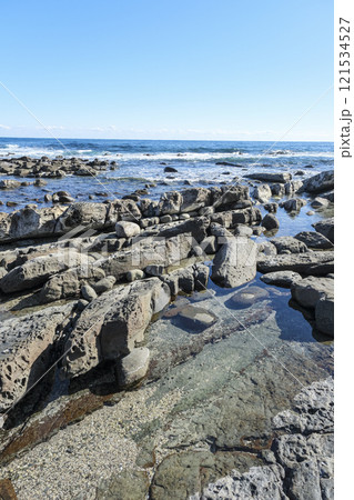 宮崎のいるか岬から見る鬼の洗濯板 121534527
