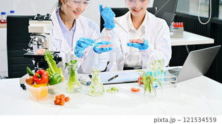 Food science as lab scientists test and analyze vegetables for safety and quality using advanced technology Food science as lab scientists test and analyze vegetables for safety and quality using advanced technology 121534559