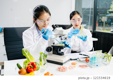 Food scientists in lab coats, testing samples, and analyzing food safety and quality 121534619