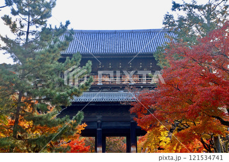 南禅寺・三門・紅葉（京都・左京区） 121534741