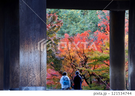 南禅寺・三門・紅葉(京都・左京区) 南禅寺・三門・紅葉(京都・左京区) 121534744