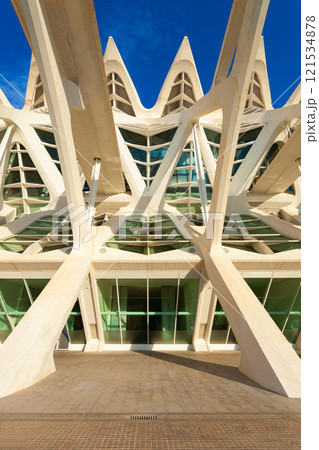 The City of Arts and Sciences in Valencia, Spain 121534878