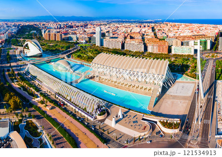 The City of Arts and Sciences in Valencia, Spain 121534913